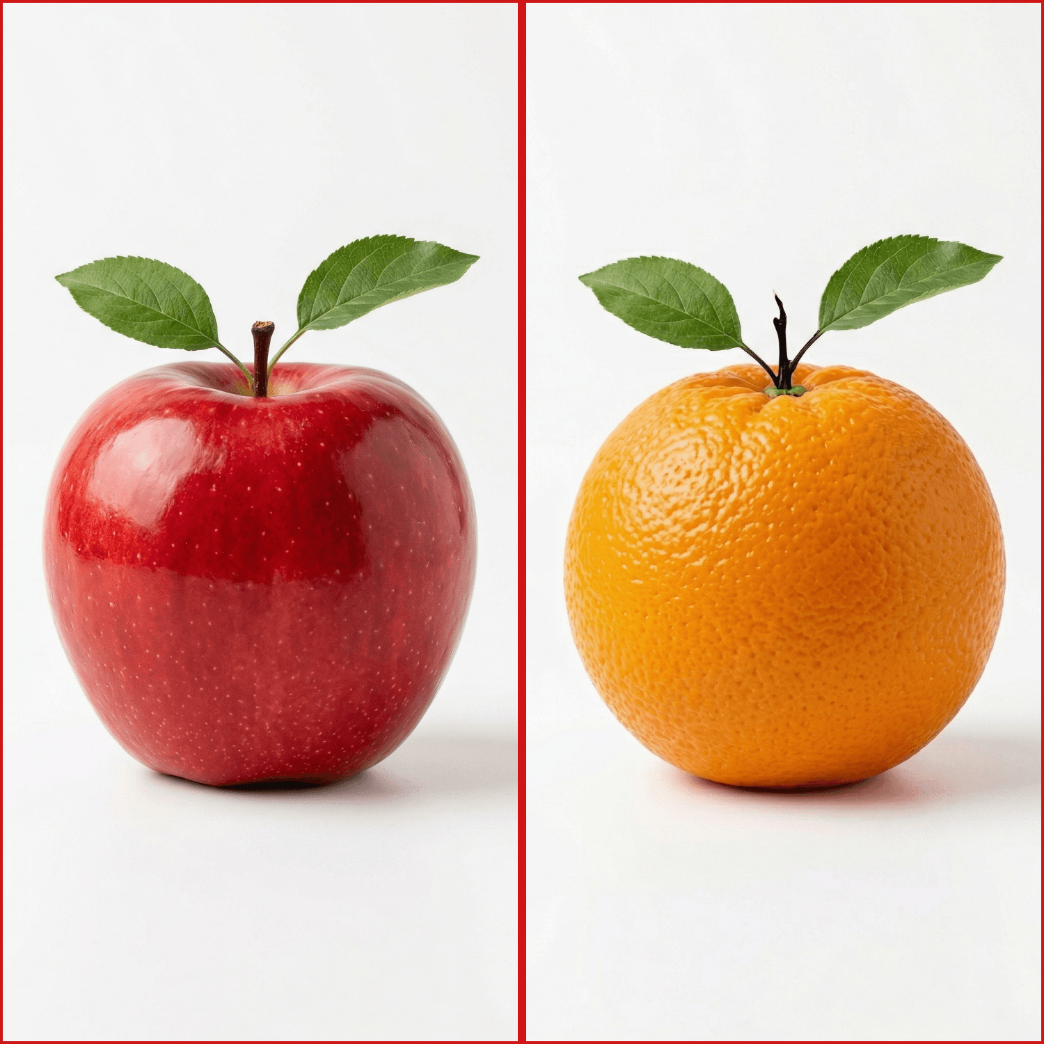 Combined output - two photos merged side by side into one frame